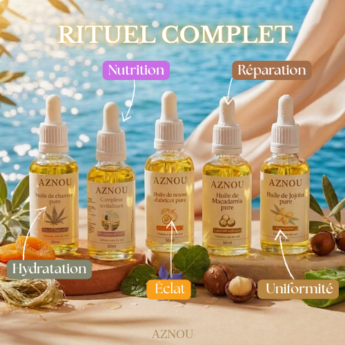 Expérience Complète